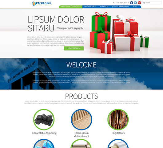 Product Niche Packaging Website